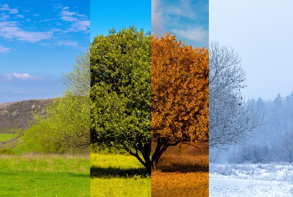 Seniors : comment anticiper le changement de saison ? 